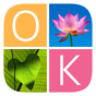 APK-иконка 1 Фото 1 Ключ: игра в слова