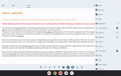 Screenshot  di Text Editor apk