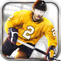 Buz Hokeyi 3D - Ice Hockey