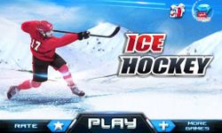 Khúc côn cầu 3D - Ice Hockey ảnh màn hình apk 13