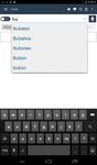 Spanish Dictionary captura de pantalla apk 3
