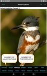 iBird Yard Plus Guide to Birds ekran görüntüsü APK 12