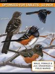 iBird Yard Plus Guide to Birds ekran görüntüsü APK 6