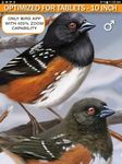 iBird Yard Plus Guide to Birds ekran görüntüsü APK 5