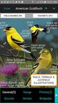 iBird Yard Plus Guide to Birds ekran görüntüsü APK 23