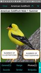 iBird Yard Plus Guide to Birds ekran görüntüsü APK 21