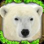 Polar Bear Simulator