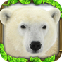 Biểu tượng Polar Bear Simulator