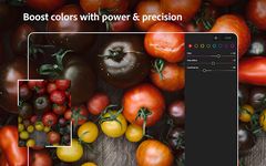 Adobe Lightroom - 写真加工・編集アプリのライトルーム のスクリーンショットapk 3