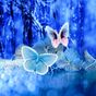Ikon Abstract Butterflies Wallpaper