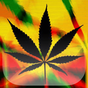 Rasta Marijuana Fondo Animado apk icono