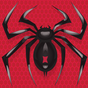 Ícone do Spider Solitaire