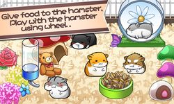 Screenshot 7 di Hamster Life - Vita da Criceto apk