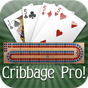 Cribbage Pro 아이콘
