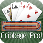 Icono de Cribbage Pro