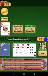 Screenshot 14 di Cribbage Pro apk