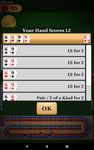 Cribbage Pro capture d'écran apk 12