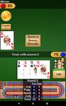 Скриншот 11 APK-версии Cribbage Pro