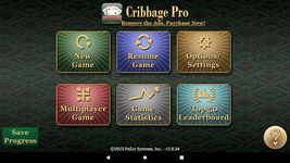 Cribbage Pro capture d'écran apk 7