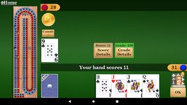 Cribbage Pro capture d'écran apk 4