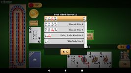 Cribbage Pro capture d'écran apk 6