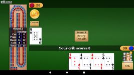 Cribbage Pro captura de pantalla apk 3