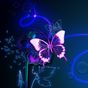 Neon Butterfly Live Wallpaper icon