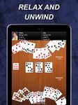 Gin Rummy screenshot apk 4