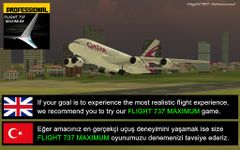 Imagine Flight 787 - Anadolu LITE-S 20