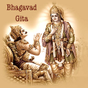 Bhagavad Gita English w/ audio apk icon