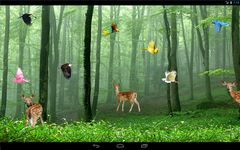 Картинка  Rain Forest Live Wallpaper