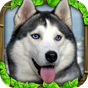 Stray Dog Simulator icon