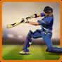 CricAstics 3D Multiplayer Cricket Game Simgesi