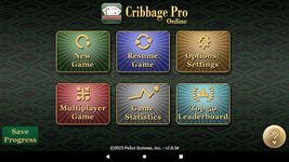 Cribbage Pro Online! ảnh màn hình apk 9
