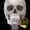 Esqueleto | Anatomía 3D 
