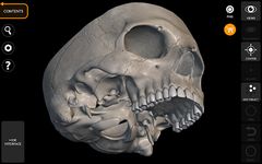 Skeleton | 3D Anatomy ekran görüntüsü APK 6