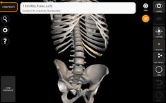 Screenshot 4 di Scheletro | Anatomia 3D apk