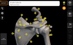 Screenshot 3 di Scheletro | Anatomia 3D apk
