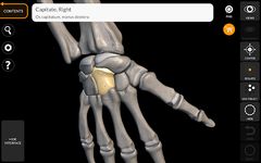 Screenshot 2 di Scheletro | Anatomia 3D apk