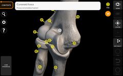 Screenshot  di Scheletro | Anatomia 3D apk