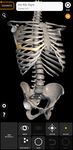 Screenshot 15 di Scheletro | Anatomia 3D apk