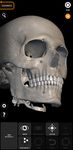 Skeleton | 3D Anatomy ekran görüntüsü APK 12