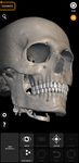 Skeleton | 3D Anatomy screenshot APK 12