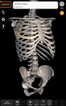 Screenshot 10 di Scheletro | Anatomia 3D apk
