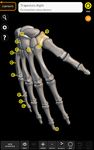 Skeleton | 3D Anatomy ekran görüntüsü APK 8