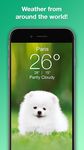 Скриншот  APK-версии Weather Puppy