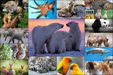 Animals Jigsaw Puzzles Kids ảnh màn hình apk 5