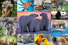 Tangkapan layar apk Kids Animals Jigsaw Puzzles 5