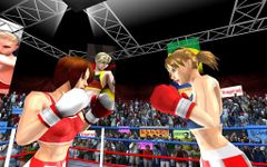 Картинка 3 Woman Fists For Fighting WFx3