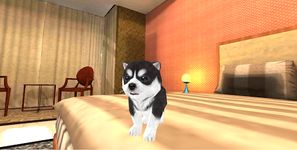 Köpek yavrusu Simülatörü 3D ekran görüntüsü APK 2